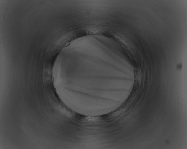 X0000091370526200708311528