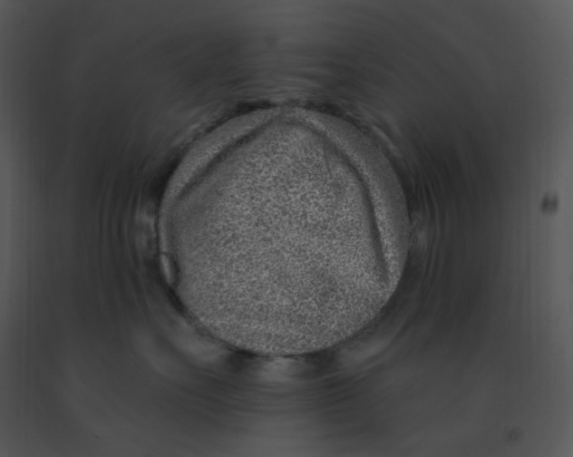 X0000091370527200708311528