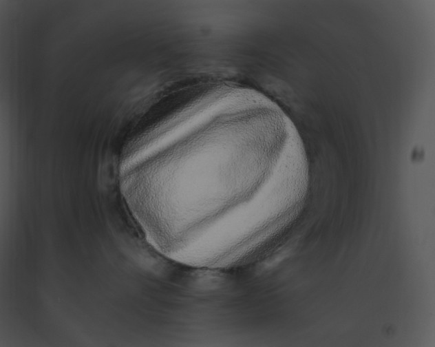 X0000091370528200708311528