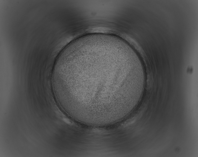 X0000091370529200708311527