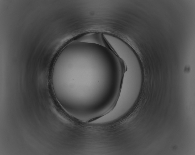 X0000091370530200708311527