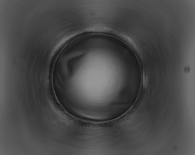 X0000091370531200708311527