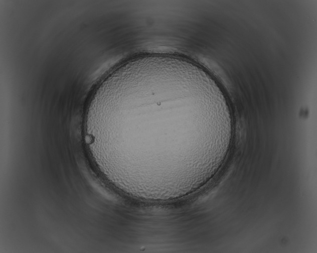 X0000091370533200708311527