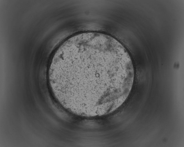 X0000091370534200708311527