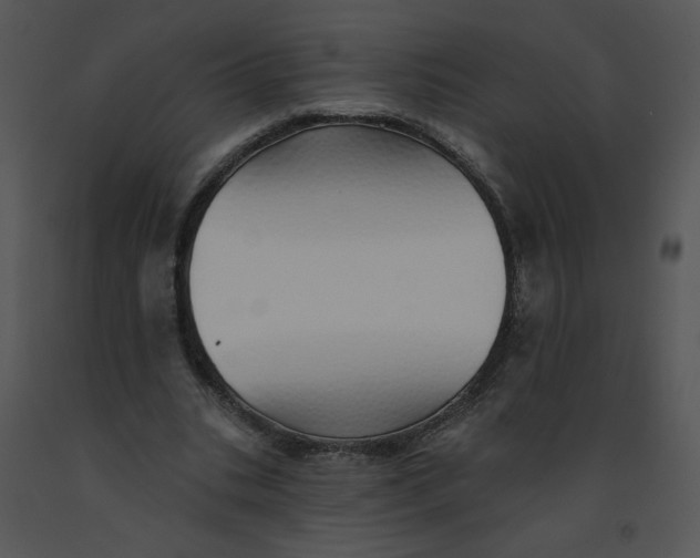 X0000091370535200708311527