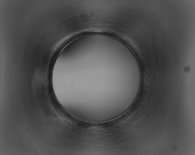 X0000091370536200708311527