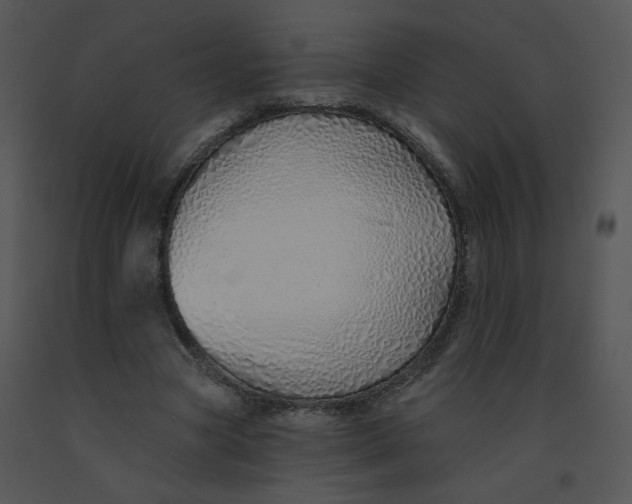 X0000091370537200708311527