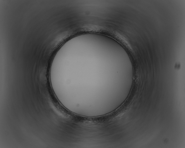 X0000091370538200708311527