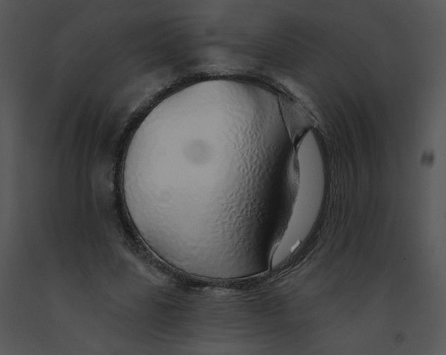 X0000091370539200708311527