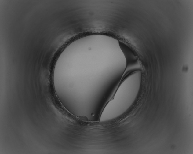 X0000091370540200708311527