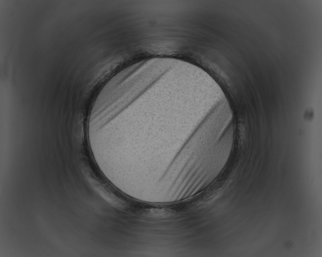 X0000091370541200708311527