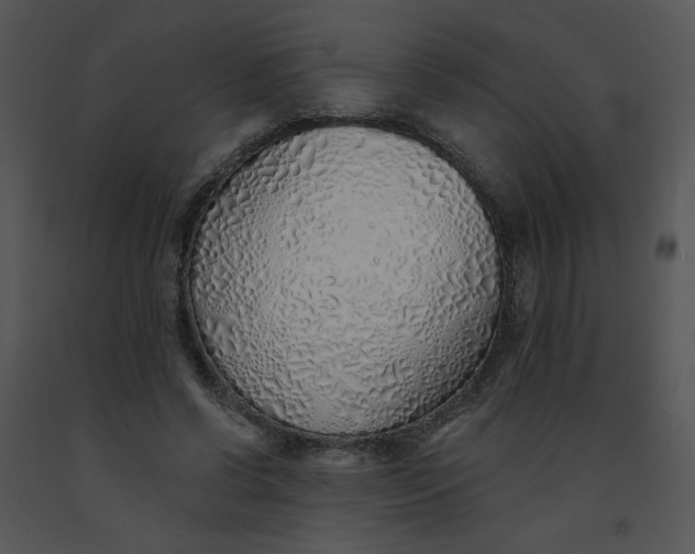 X0000091370542200708311527