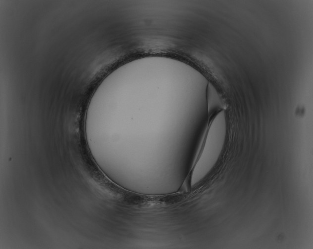 X0000091370543200708311527