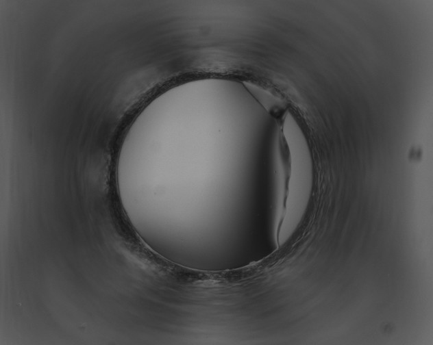 X0000091370544200708311527