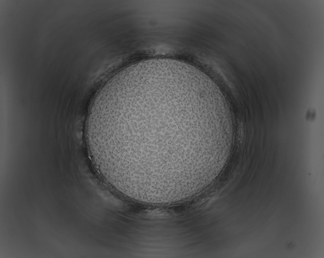 X0000091370545200708311527