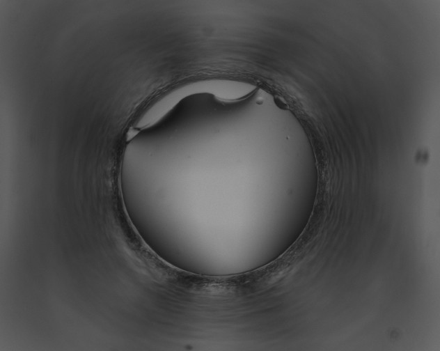 X0000091370546200708311527