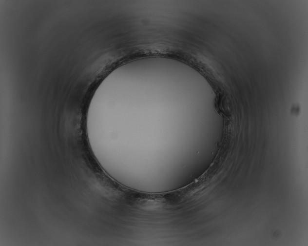 X0000091370548200708311527