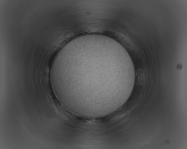 X0000091370550200708311527