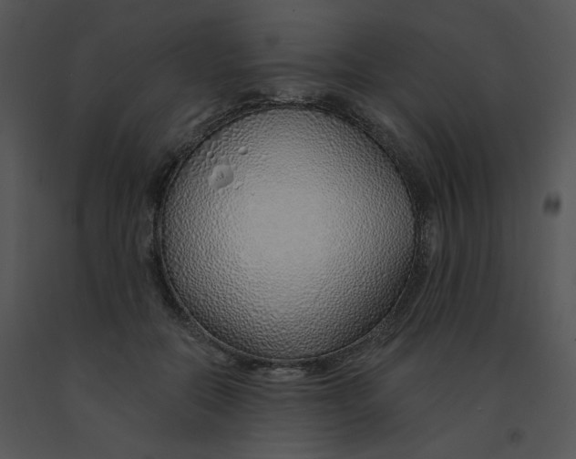 X0000091370554200708311527