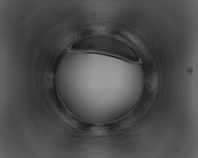 X0000091370556200708311527