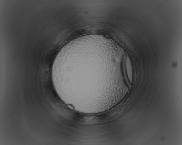 X0000091370557200708311527