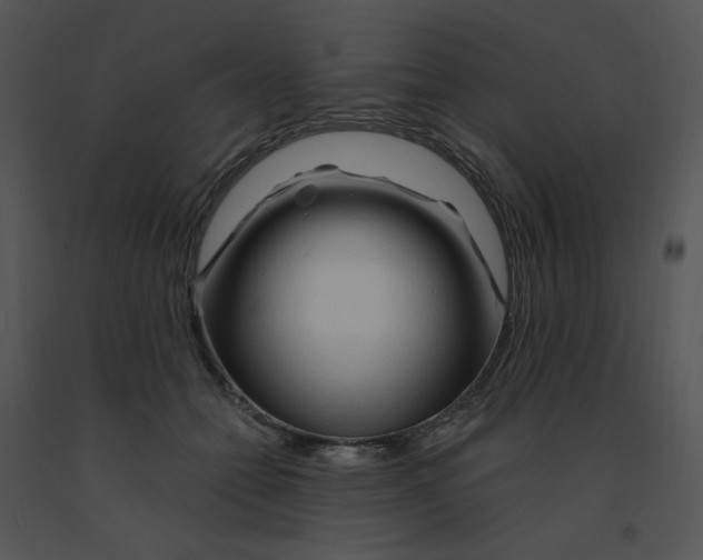 X0000091370558200708311527