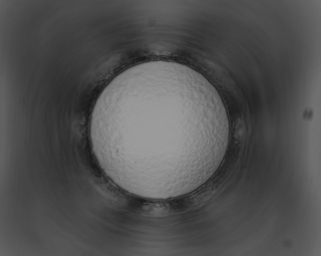 X0000091370559200708311527