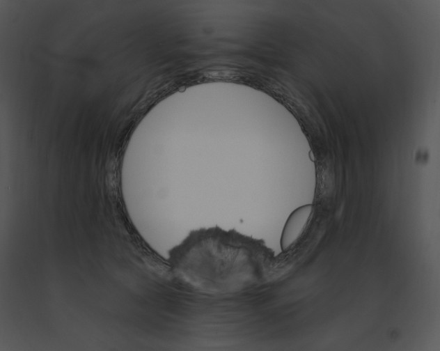 X0000091370561200708311527