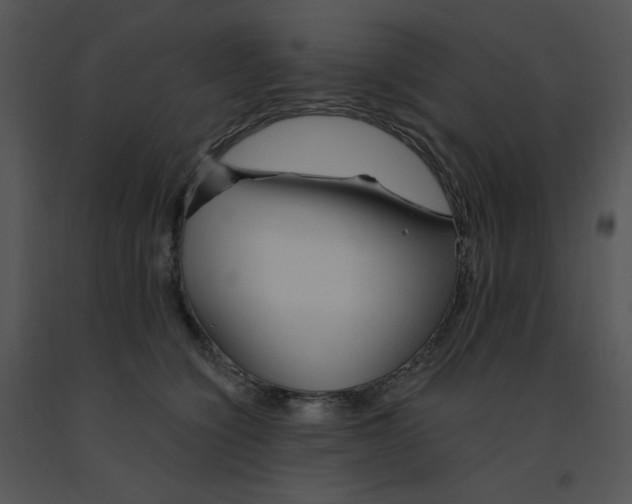 X0000091370564200708311528