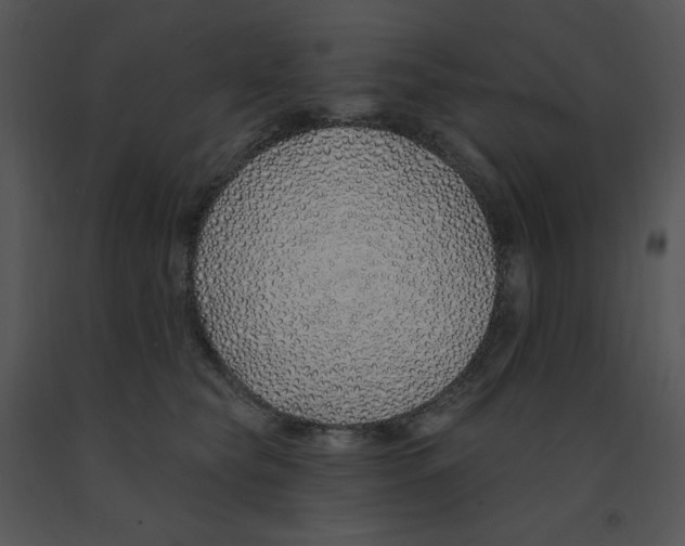 X0000091370565200708311528