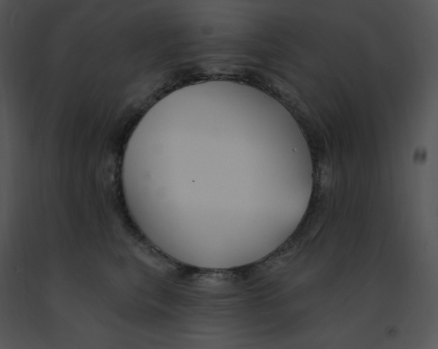 X0000091370567200708311528