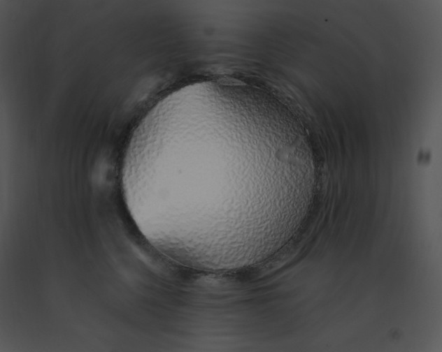 X0000091370568200708311528