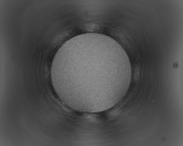 X0000091370569200708311528