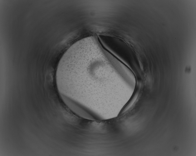 X0000091370570200708311528