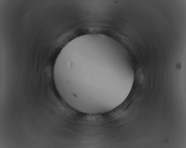 X0000091370571200708311528