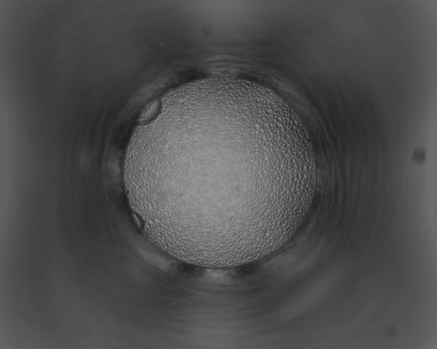 X0000091370573200708311528