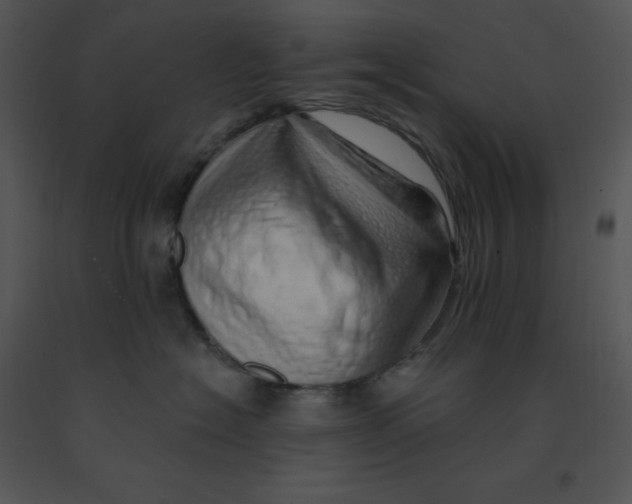 X0000091370574200708311528