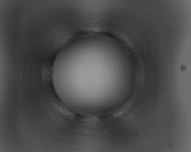 X0000091370576200708311528