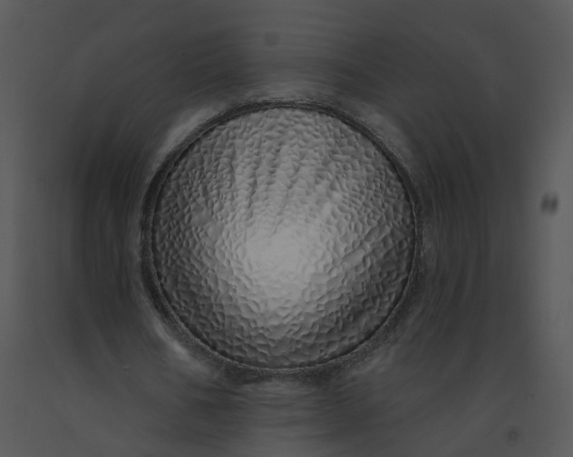 X0000091370578200708311527