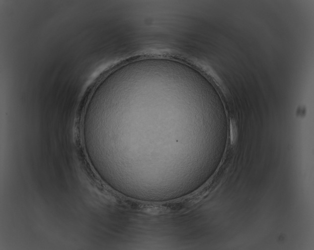 X0000091370579200708311527