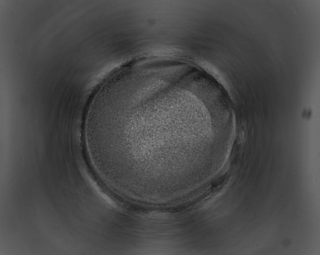 X0000091370581200708311527