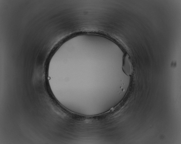 X0000091370584200708311527