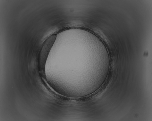 X0000091370585200708311527