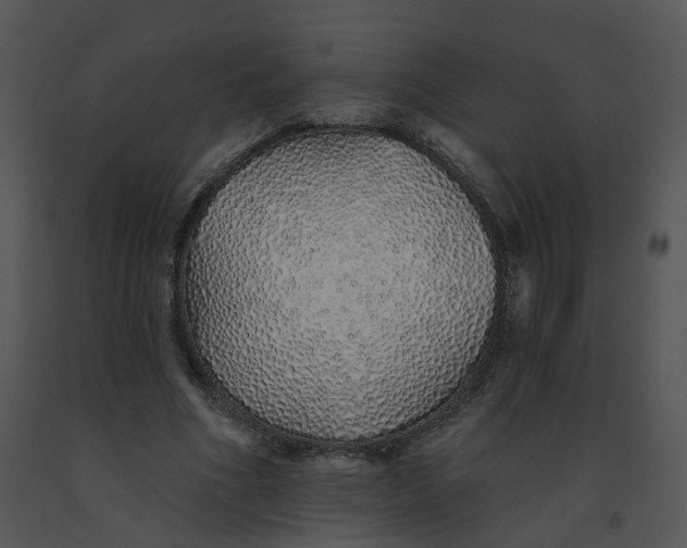 X0000091370586200708311527