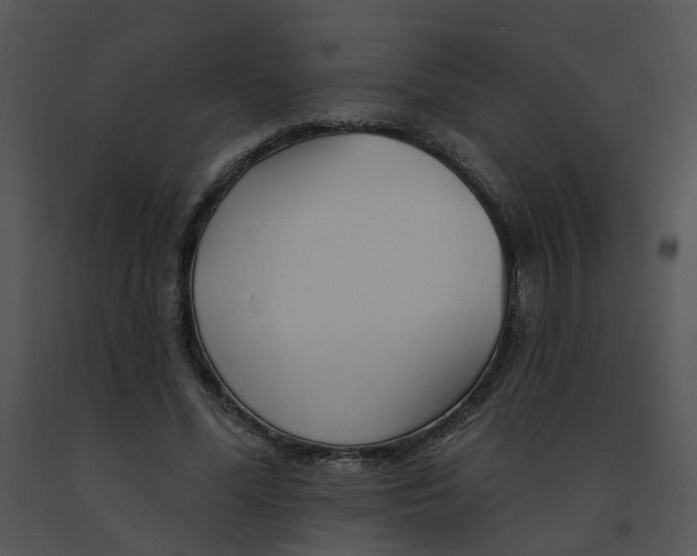 X0000091370588200708311527