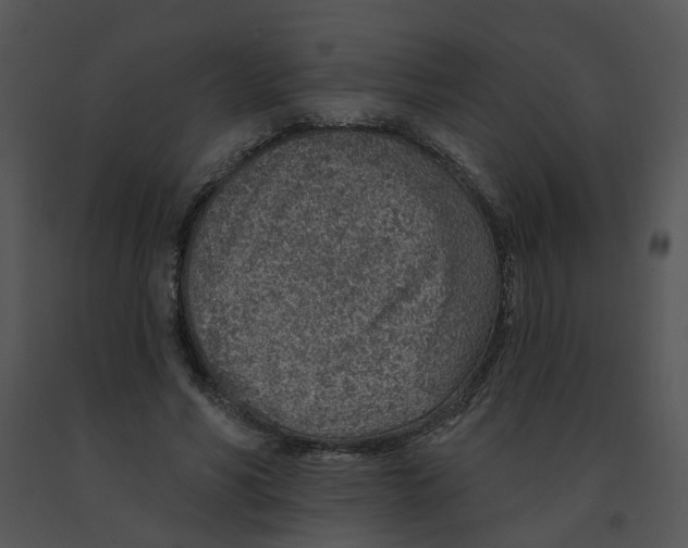 X0000091370590200708311527