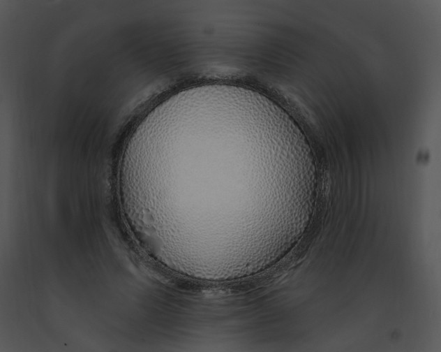 X0000091370591200708311527