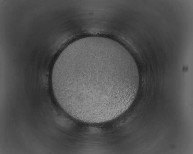 X0000091370592200708311527