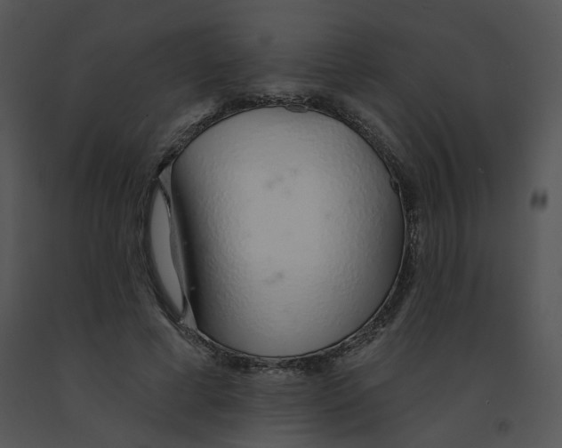 X0000091370593200708311527