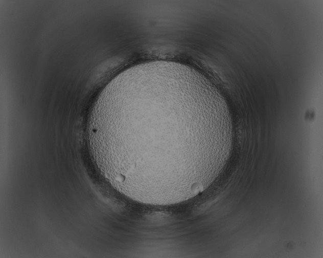 X0000091370594200708311527